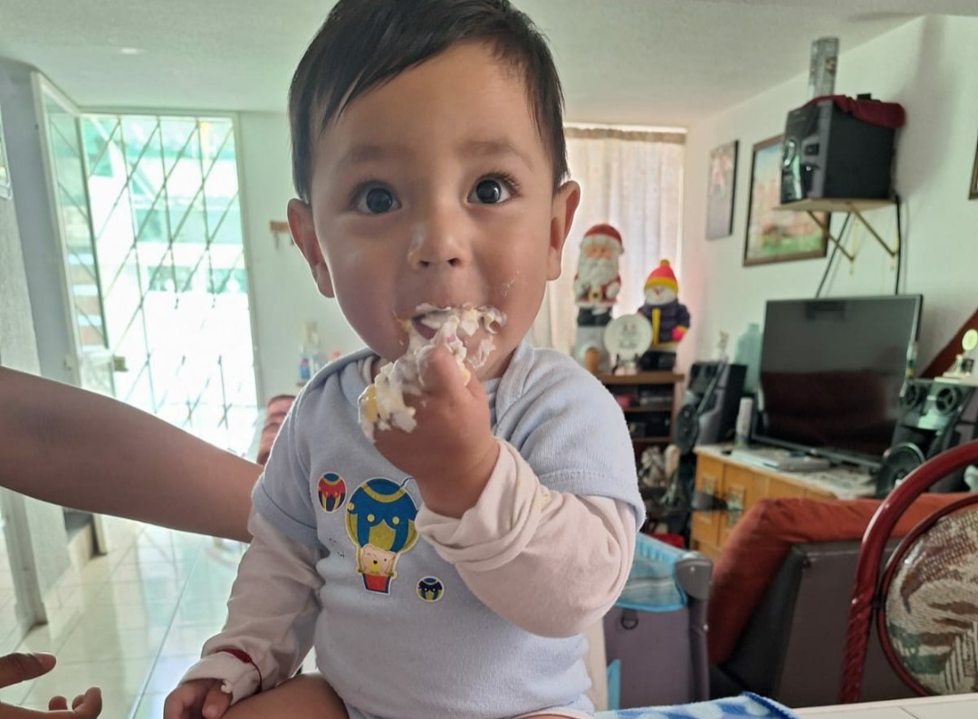 Primer año